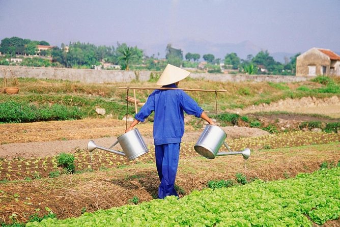 The Best Tra Que Village Photography Tour